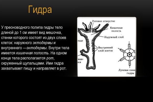 Ссылки на кракена и на мегу