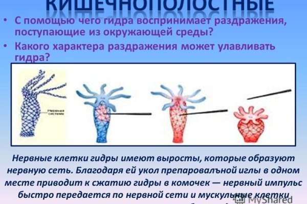 Кракен сайт зеркало рабочее на сегодня