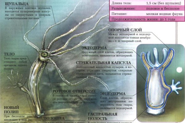 Кракен не работает сайт