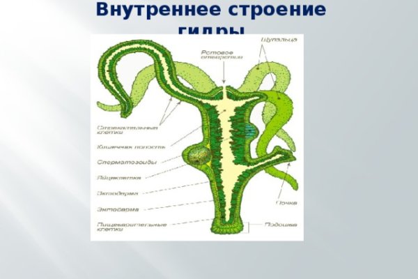 Кракен ссылка kraken dark link